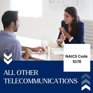 Buy NAICS Code 5178 B2B email List