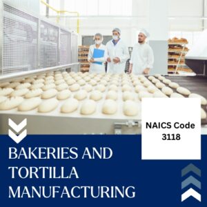 Buy NAICS Code 3118 B2B email List