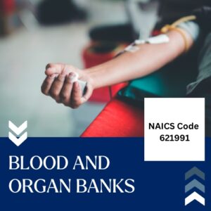 Buy NAICS Code 621991 B2B email List