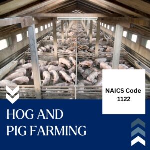 Hog and Pig Farming