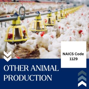 Other Animal Production