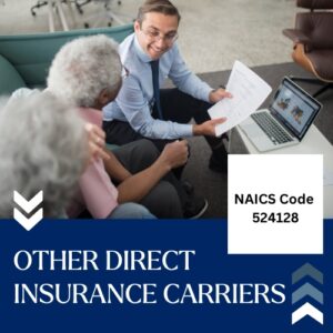 Buy NAICS Code 524128 B2B email List