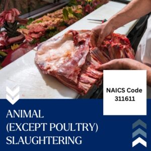 NAICS Code 311611 – Animal (except Poultry) Slaughtering Email List