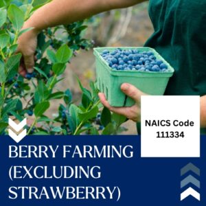 NAICS Code 111334 – Berry (Except Strawberry) Farming Email List