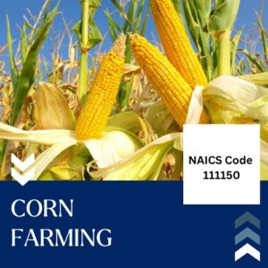 Buy NAICS Code 111150 B2B Email List
