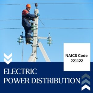 Buy NAICS Code 221122 B2B email List