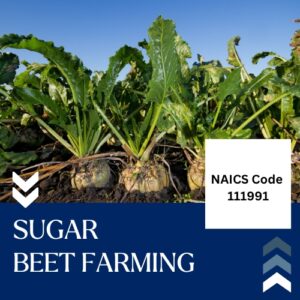 Buy NAICS Code 111991 B2B Email List