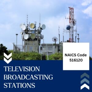 Buy NAICS Code 516120 B2B Email List